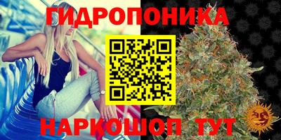 прущие грибы Коммунар